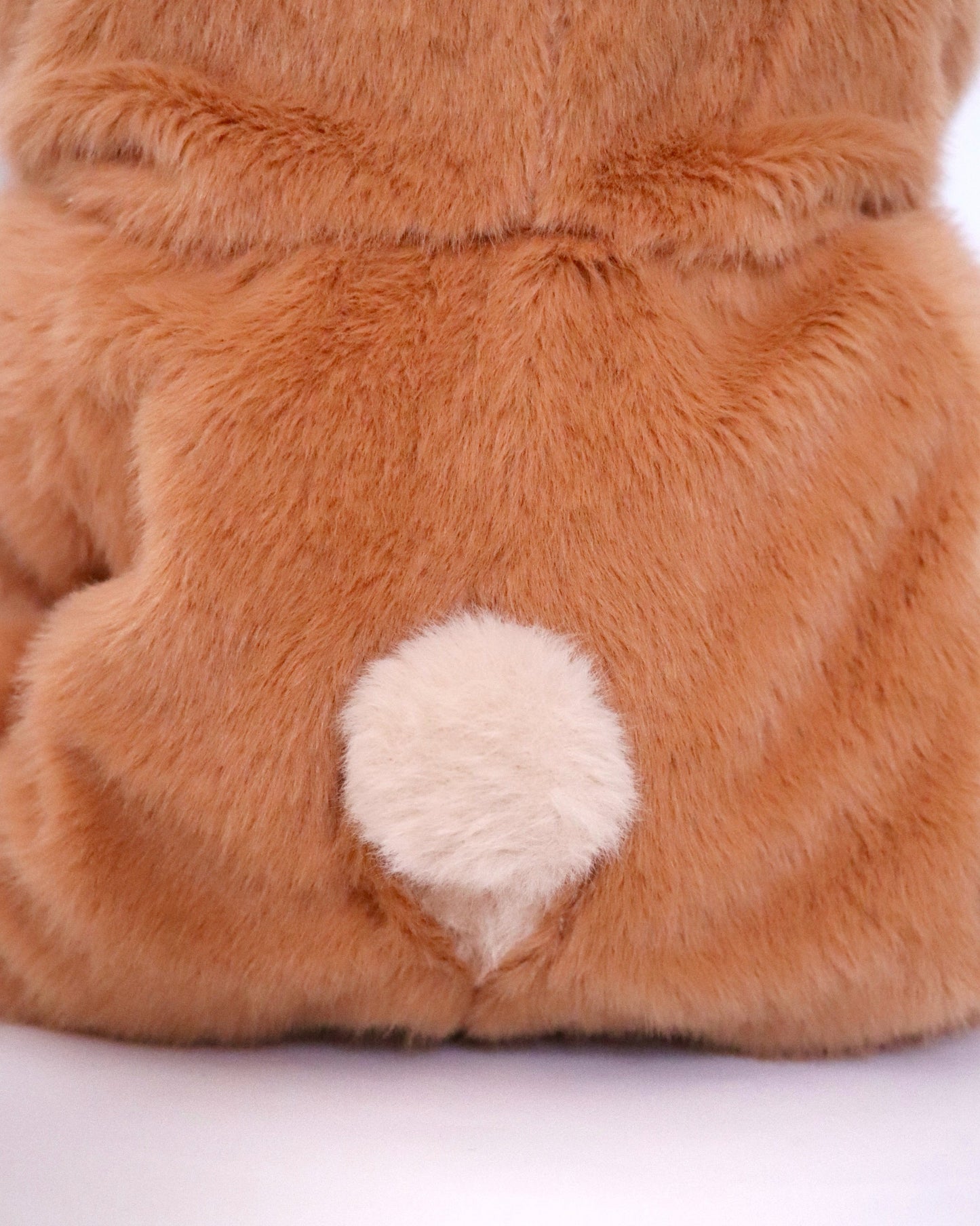 Kabu, l'ours zen bienveillant