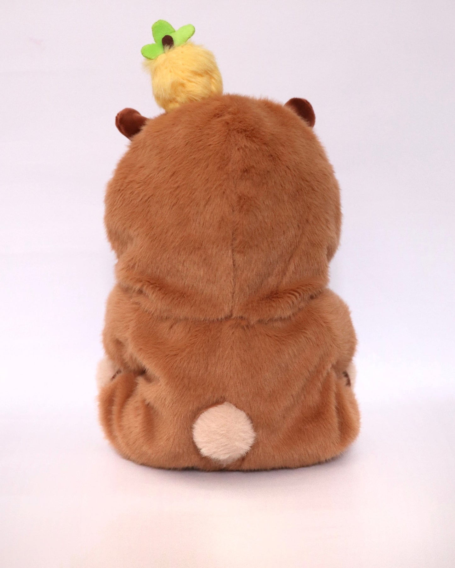 Kabu, l'ours zen bienveillant