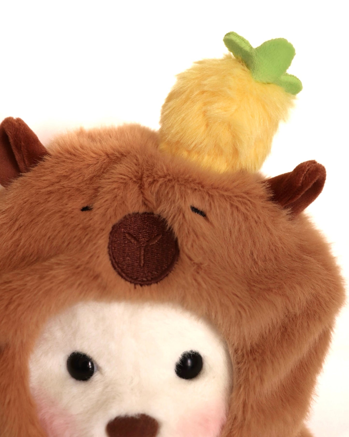 Kabu, l'ours zen bienveillant